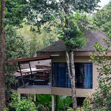 Rock And Tree House Resort Khao Sok National Park Экстерьер фото