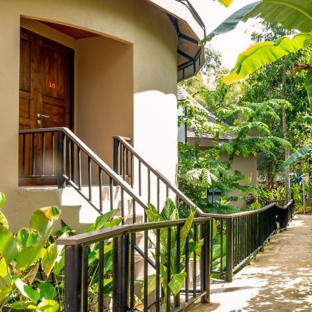 Rock And Tree House Resort Khao Sok National Park Экстерьер фото